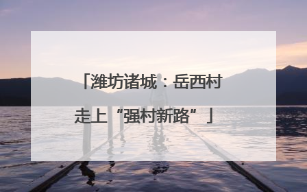 潍坊诸城：岳西村走上“强村新路”