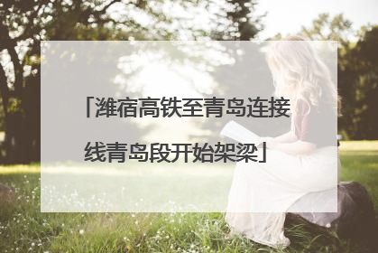 潍宿高铁至青岛连接线青岛段开始架梁