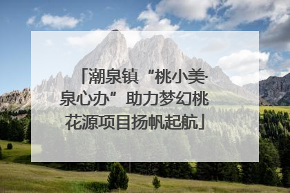 潮泉镇“桃小美·泉心办”助力梦幻桃花源项目扬帆起航