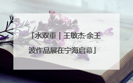 水双重｜王敏杰·余王波作品展在宁海启幕