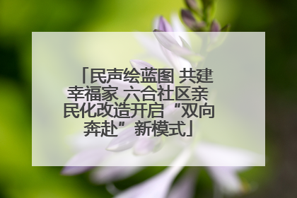 民声绘蓝图 共建幸福家 六合社区亲民化改造开启“双向奔赴”新模式