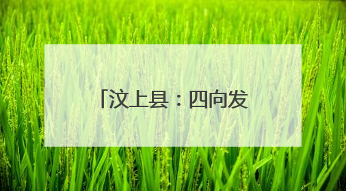 汶上县：四向发力 绘就“跨村联建”崭新图景