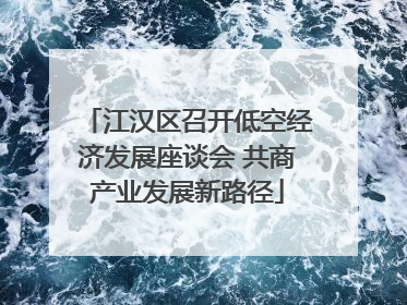 江汉区召开低空经济发展座谈会 共商产业发展新路径