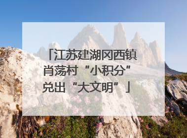 江苏建湖冈西镇肖荡村“小积分”兑出“大文明”