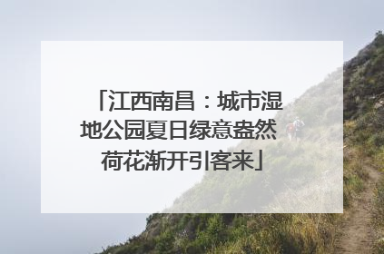 江西南昌：城市湿地公园夏日绿意盎然 荷花渐开引客来