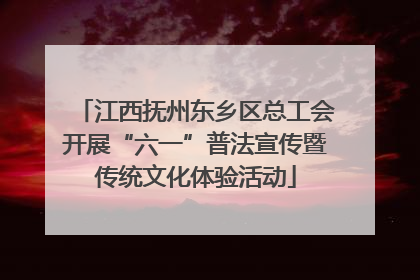 江西抚州东乡区总工会开展“六一”普法宣传暨传统文化体验活动