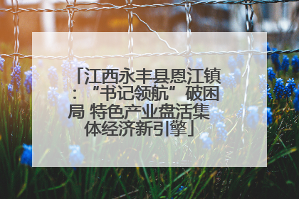 江西永丰县恩江镇：“书记领航”破困局 特色产业盘活集体经济新引擎