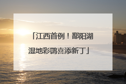 江西首例！鄱阳湖湿地彩鹮喜添新丁