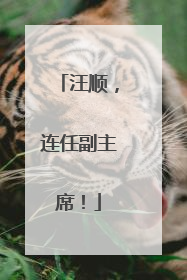 汪顺，连任副主席！