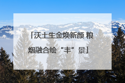沃土生金焕新颜 粮烟融合绘“丰”景