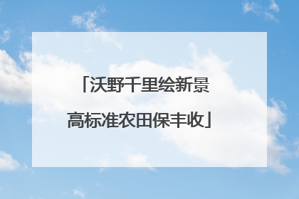 沃野千里绘新景 高标准农田保丰收