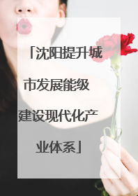 沈阳提升城市发展能级 建设现代化产业体系