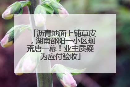 沥青地面上铺草皮，湖南邵阳一小区现荒唐一幕！业主质疑为应付验收
