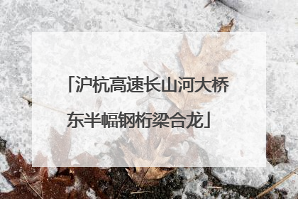 沪杭高速长山河大桥东半幅钢桁梁合龙