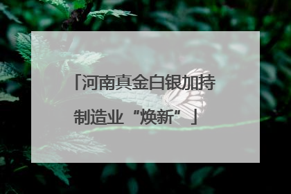河南真金白银加持制造业“焕新”