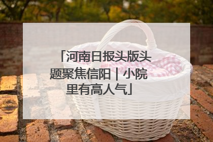 河南日报头版头题聚焦信阳｜小院里有高人气