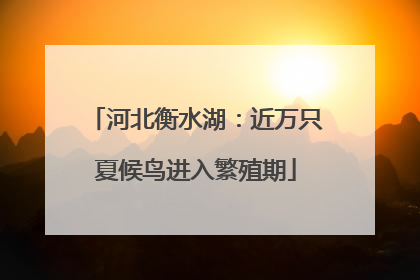 河北衡水湖：近万只夏候鸟进入繁殖期