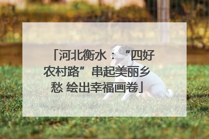 河北衡水：“四好农村路”串起美丽乡愁 绘出幸福画卷
