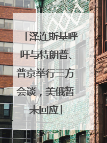 泽连斯基呼吁与特朗普、普京举行三方会谈，美俄暂未回应