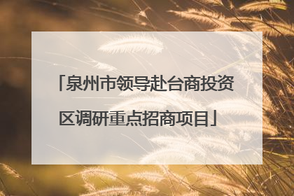 泉州市领导赴台商投资区调研重点招商项目
