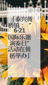 泰兴黄桥镇：“6·21国际乐器演奏日”活动在黄桥举办