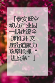 泰安低空动力产业园一期建设全速推进 文庙街道聚力攻坚抢抓“进度条”