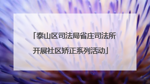 泰山区司法局省庄司法所开展社区矫正系列活动