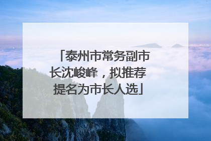 泰州市常务副市长沈峻峰，拟推荐提名为市长人选