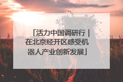 活力中国调研行｜在北京经开区感受机器人产业创新发展