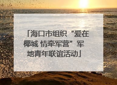 海口市组织“爱在椰城 情牵军营”军地青年联谊活动