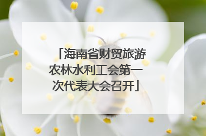 海南省财贸旅游农林水利工会第一次代表大会召开
