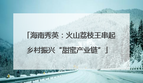 海南秀英：火山荔枝王串起乡村振兴“甜蜜产业链”