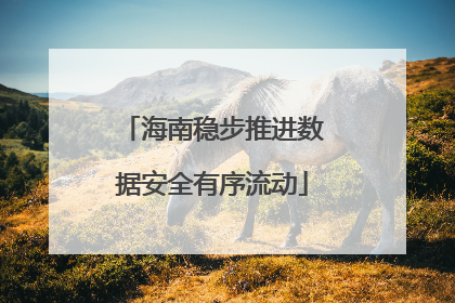 海南稳步推进数据安全有序流动