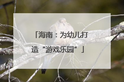 海南：为幼儿打造“游戏乐园”