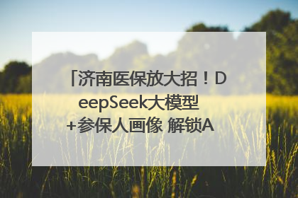 济南医保放大招！DeepSeek大模型+参保人画像 解锁AI医保管家新体验