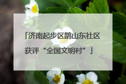 济南起步区鹊山东社区获评“全国文明村”