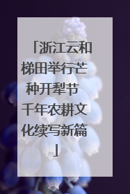 浙江云和梯田举行芒种开犁节 千年农耕文化续写新篇