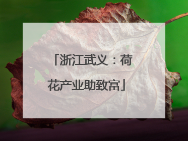 浙江武义：荷花产业助致富