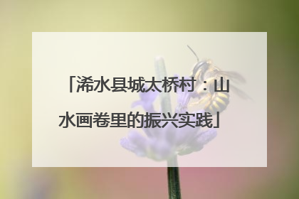 浠水县城太桥村：山水画卷里的振兴实践