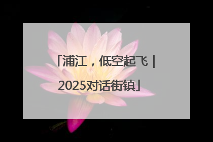 浦江，低空起飞｜2025对话街镇