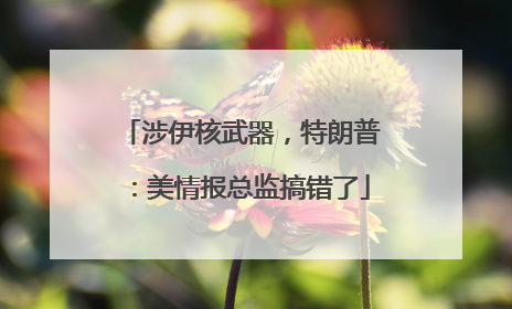 涉伊核武器，特朗普：美情报总监搞错了