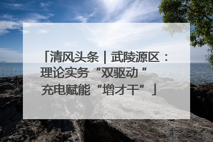 清风头条｜武陵源区：理论实务“双驱动 ” 充电赋能“增才干”