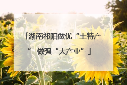 湖南祁阳做优“土特产” 做强“大产业”
