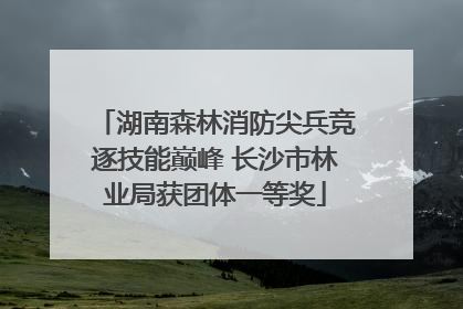 湖南森林消防尖兵竞逐技能巅峰 长沙市林业局获团体一等奖