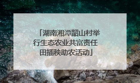 湖南湘潭韶山村举行生态农业共富责任田插秧助农活动