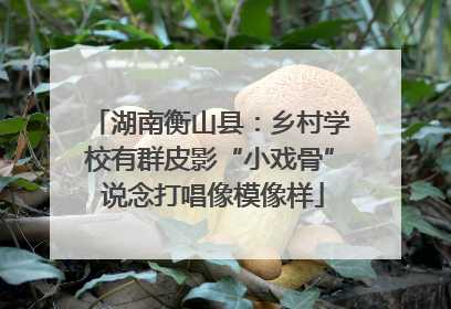 湖南衡山县：乡村学校有群皮影“小戏骨” 说念打唱像模像样