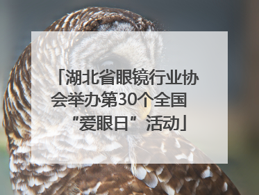 湖北省眼镜行业协会举办第30个全国“爱眼日”活动