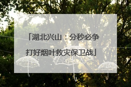 湖北兴山：分秒必争 打好烟叶救灾保卫战