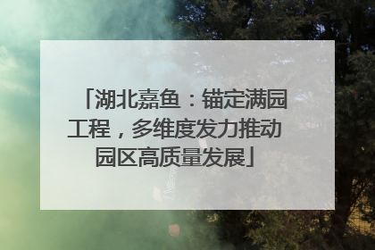 湖北嘉鱼：锚定满园工程，多维度发力推动园区高质量发展