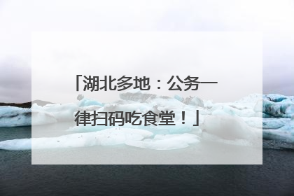 湖北多地：公务一律扫码吃食堂！